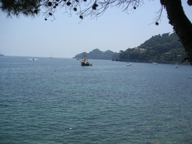 Didi 4082
